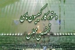 بررسی اصلاح اساسنامه بنیاد شهید و طرح تشکیل وزارت محیط زیست در دستور کار کمیسیون های مجلس