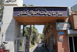 اطلاعیه سازمان ثبت احوال در واکنش به شایعه محدودیت انتخاب اسم «ژینا»