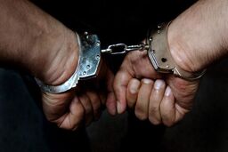  48 نفر از اخلالگران ارزی دستگیر شدند