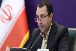 سیاست ارز ۴۲۰۰ تومانی سبب هدر رفتن بخشی از منابع ارزی است