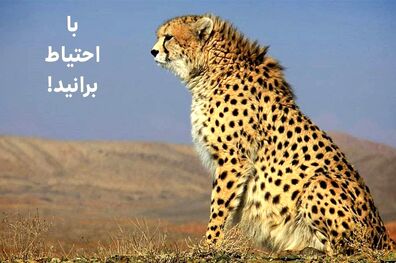 آیا «ایران» مجدد باردار می‌شود؟
