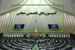 دستور کار جلسات کمیسیون‌های تخصصی مجلس اعلام شد