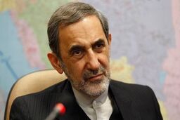 مشاور مقام معظم رهبری با شیوخ عراق دیدار کرد