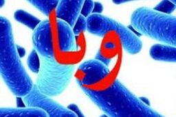 شناسایی ۶۵ ابتلا به وبا در کشور 