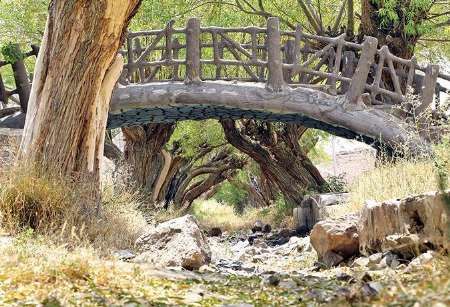 180 منبع آبی روستاهای استان یزد خشک شده یا در حال خشک شدن است