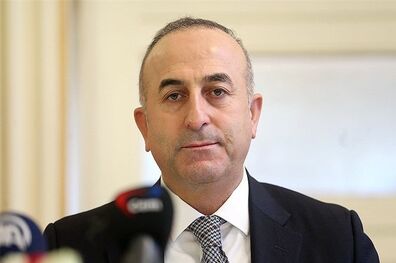 وزیر خارجه ترکیه وارد عراق شد