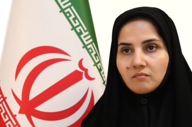 کنوانسیون های مربوط به FATF گذاشتن حق تحفظ را منع نکرده است