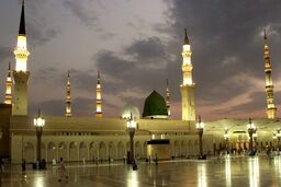 تیراندازی در مسجدالنبی تلفات جانی نداشت