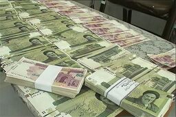 وجود 600 صندوق اعتبارات خرد زنان روستایی در کشور