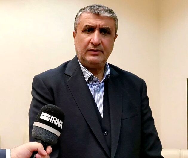  دولت و سازمان انرژی اتمی به اجرای قانون راهبردی مقید هستند