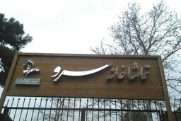 تماشاخانه سرو با حضور هنرمندان و مسوولان تئاتر افتتاح می‌شود
