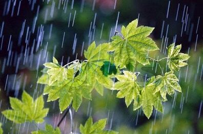 بارش های رگباری در سیستان و بلوچستان ادامه دارد