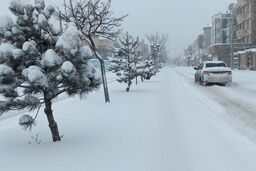 کاهش دما تا ۱۰ درجه در شمال کشور