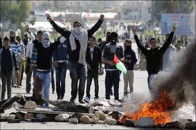 ادامه درگیری ها در فلسطین/ آمار شهدا افزوده می شود