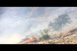 آتش سوزی در جنگل های کبیرکوه ایلام