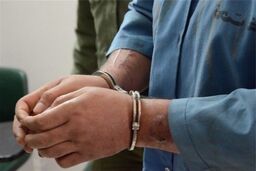3 سارق به دام پلیس افتادند/ کشف 13 فقره سرقت در قزوین