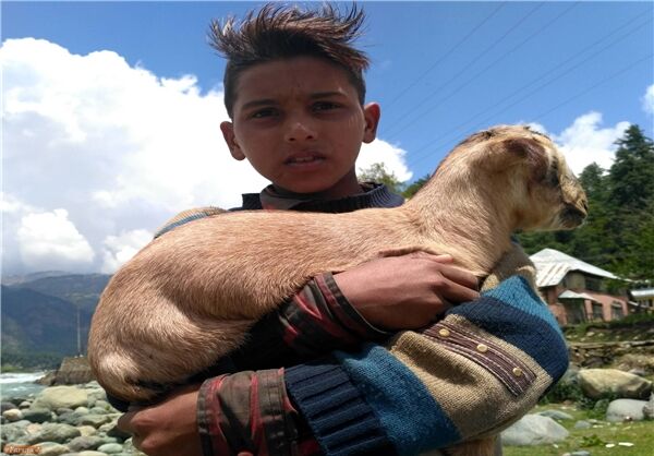 پهلگام جلوه‌ای بی‌نظیر از طبیعت زیبای کشمیر+تصاویر