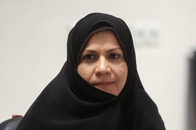  آخوندی در نشست امروز فراکسیون امید حضور دارد 