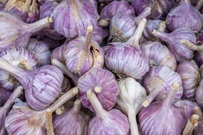 خاصیت‌‎های شگفت‌انگیز سیر