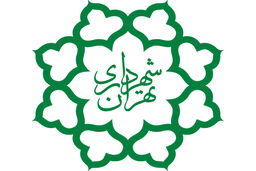 ماجرای  نوجوان مجروح شده افغان در میدان سپاه اعلام شد