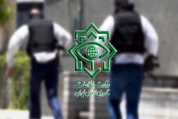 عوامل شهادت ماموران حافظ رأی دستگیر شدند
