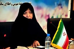 دستگاه های اجرایی خراسان جنوبی در راستای اشتغالزایی بسیج شوند