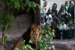 بعید است که 