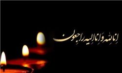 پیام تسلیت دستیار ویژه رئیس جمهور در امور حقوق شهروندی