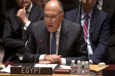 خشم عربستان از مصر به دلیل حمایت از پیش نویس روسی