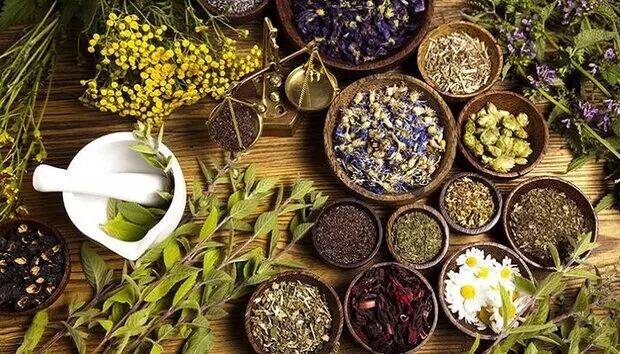 ضوابط جدید صادرات گیاهان دارویی اعلام شد