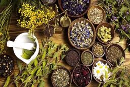 ضوابط جدید صادرات گیاهان دارویی اعلام شد