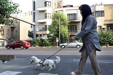 ممنوعیت سگ گردانی در لواسانات