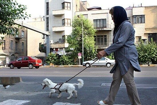 برخورد پلیس با تخلفات و مظاهر علنی فساد از جمله سگ گردانی