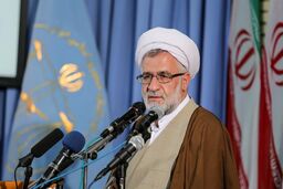 سازمان قضایی نیروهای مسلح مجوز حمل سلاح به نجفی نداده است