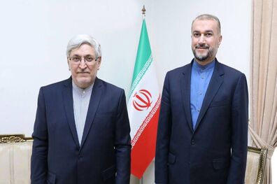 دیدار نماینده جدید ایران در آژانس بین المللی انرژی اتمی با وزیر خارجه