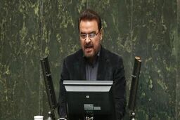 حذف ارز دولتی منجر به موج جدیدی از گرانی کالاهای اساسی می شود