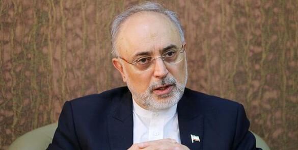 پیام تسلیت صالحی در پی درگذشت محمدرضا حکیمی