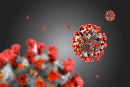 آمار مبتلایان به کرونا در امارات اعلام شد