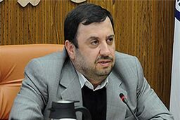 تقویت مشاغل خانگی، اولویت جدی وزارت تعاون است