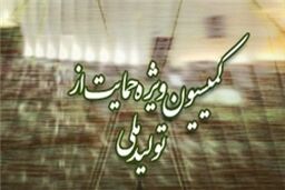 هیأت رئیسه کمیسیون ویژه حمایت از تولید ملی مجلس تعیین شد/فولادگر رئیس کمیسیون
