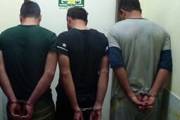 اعضای باند سرقت قطعات داخل خودرو در گناوه دستگیر شدند