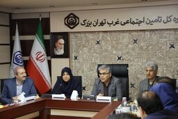 نهضت آی تی خدمات سازمان تامین اجتماعی را متحول کرد