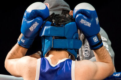 بی اطلاعی عجیب فدراسیون بوکس از محرومیت سجاد محرابی