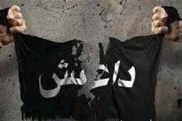 بازداشت دو سرکرده گروه تروریستی داعش در شهر فلوجه 