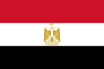 حضور ترکیه در لیبی نگران کننده است