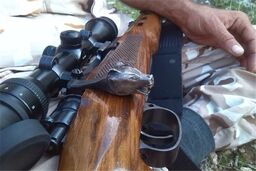 کشف سلاح قاچاق گلوله زنی در شاهرود