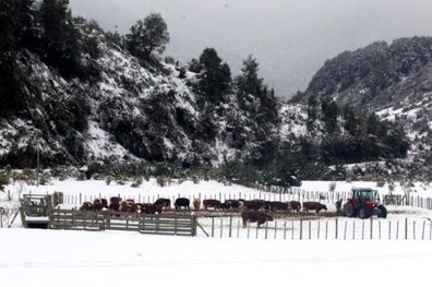 کولاک و سیل در شیلی 3000 نفر را آواره کرد