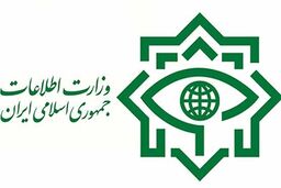وزارت اطلاعات از دستگیری قاتل ۲ شهروند درودی خبرداد 