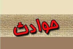 زخمی شدن چوپان 70 ساله روستایی