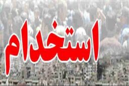 مشکل اشتغال ما، مشکل فرهنگی است تا مشکل اقتصادی و اجرایی/توان استخدامی دولت در سال ۱۰۰ هزار نفر است